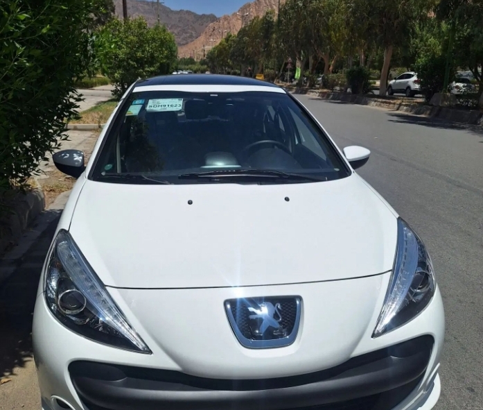 ۲۰۷پانا دنده ای